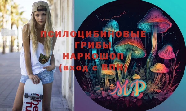 не бодяженный Няндома