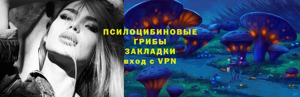 не бодяженный Няндома